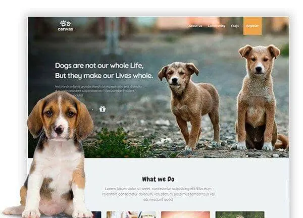 Pet Community demo home page