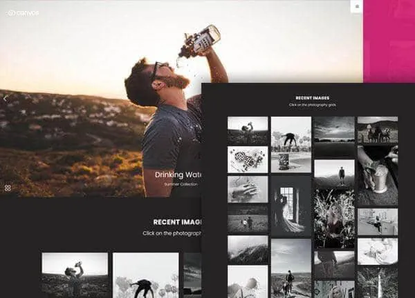 Photography WordPress theme: the Photography demo home page