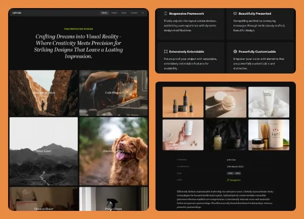 PixelPerfection Studios demo home page