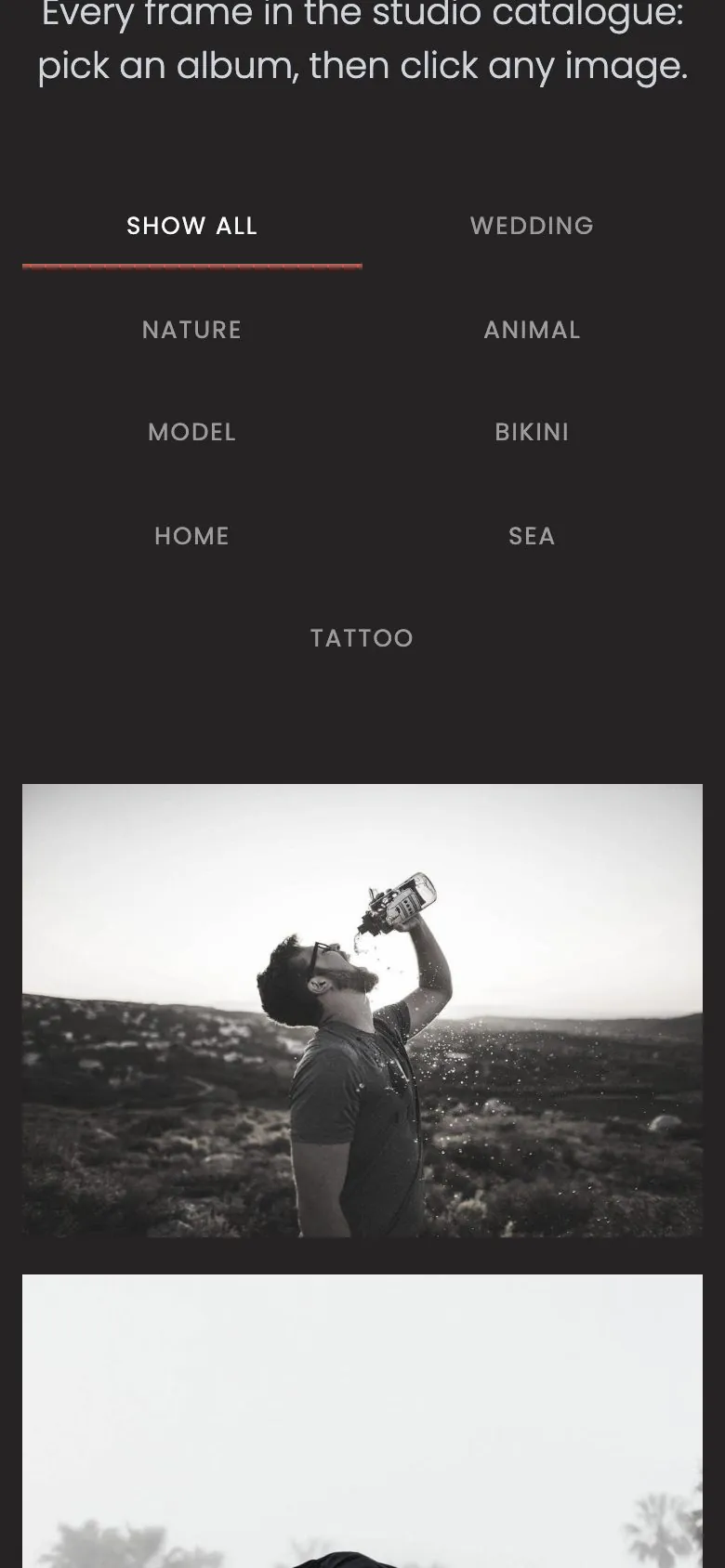 The Photography demo Explore page on a phone, with album filters above the image grid