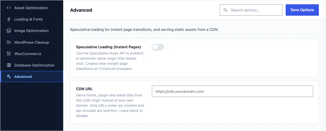 The Advanced tab of the Canvas performance options, with speculative loading for instant page transitions and a content delivery network address for static assets