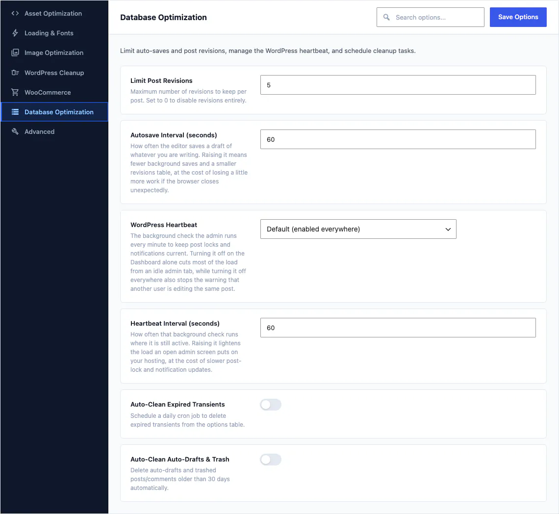 The Database Optimization tab of the Canvas performance options, with revision limits, autosave interval, heartbeat control and database cleanup