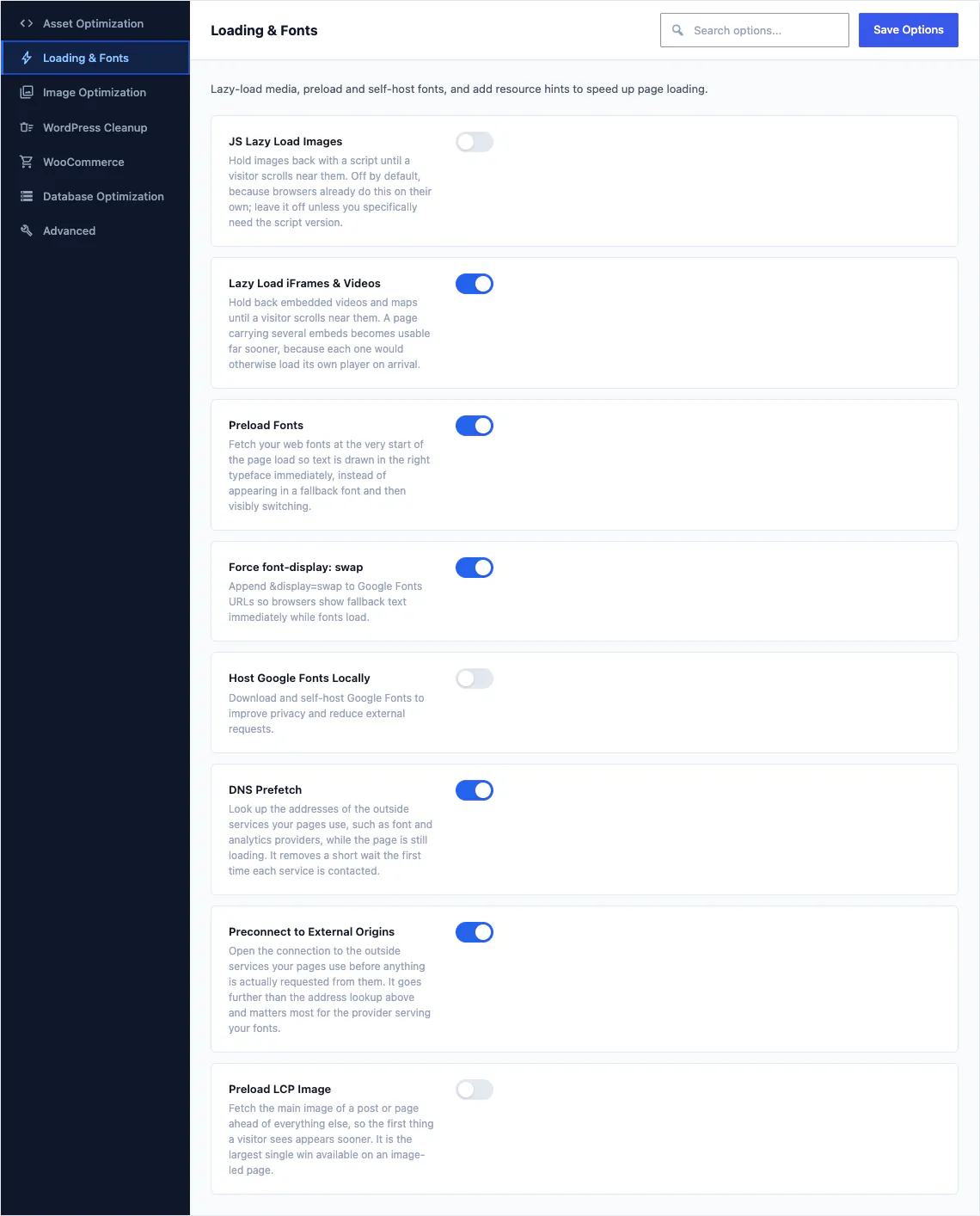 The Loading and Fonts tab of the Canvas performance options, with preload, preconnect, DNS prefetch and font handling switches